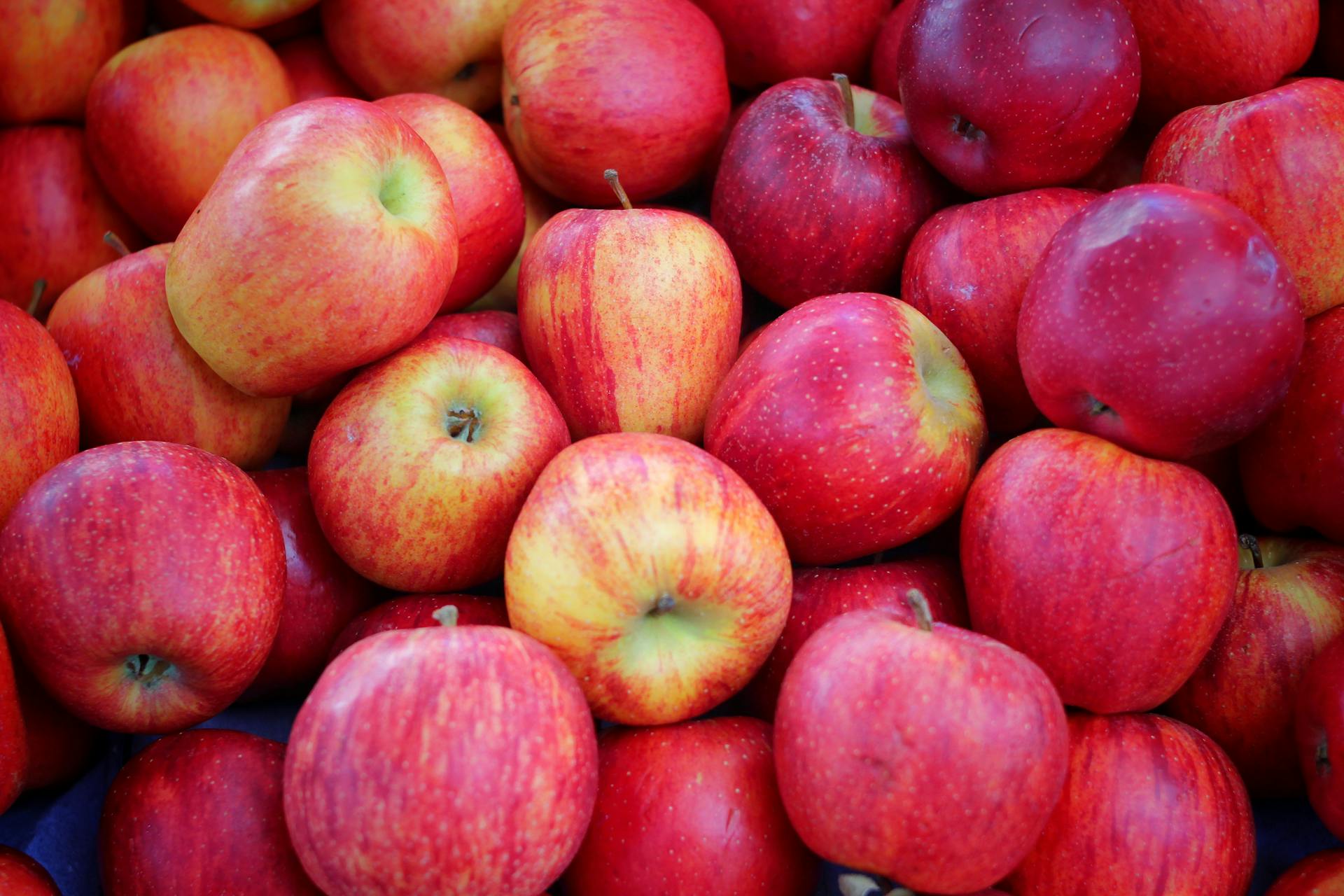 A vibrant collection of freshly picked red apples, showcasing their natural beauty and freshness.