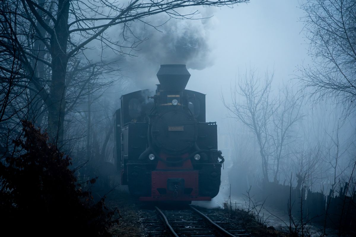 Locomotiva cu aburi iesind din ceata, printre copaci desfrunziti