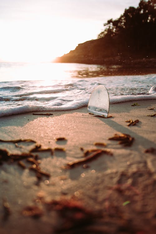 Foto De La Orilla Del Mar Durante El Amanecer