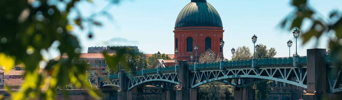 Vue pittoresque du Pont Saint-Pierre et du dôme rouge à Toulouse, France, encadrée par des feuilles.