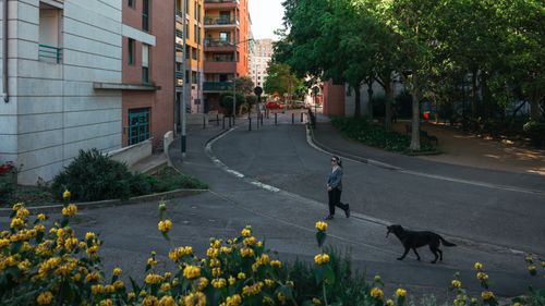 Free A serene street scene in Toulouse, France with a woman walking her dog among vibrant greenery. Stock Photo