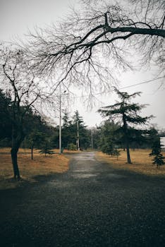 Lisi Lakes Park photo 1