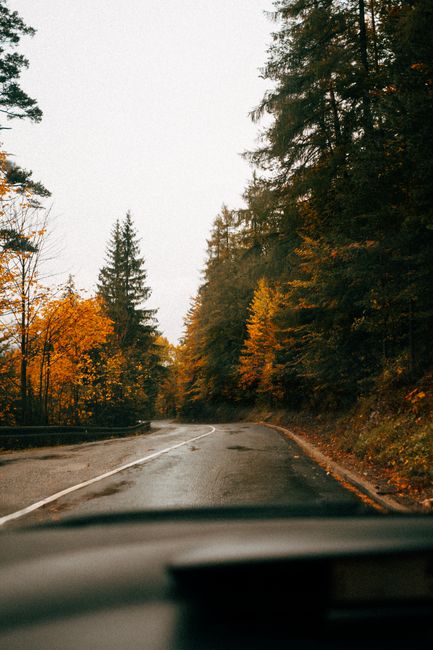 Scenic view of a quiet forest road surrounded by autumn foliage.