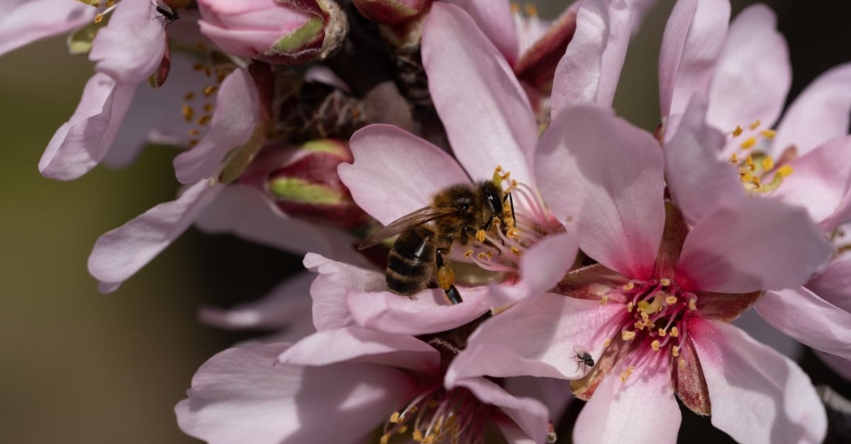 The Static Bloom 1 image text