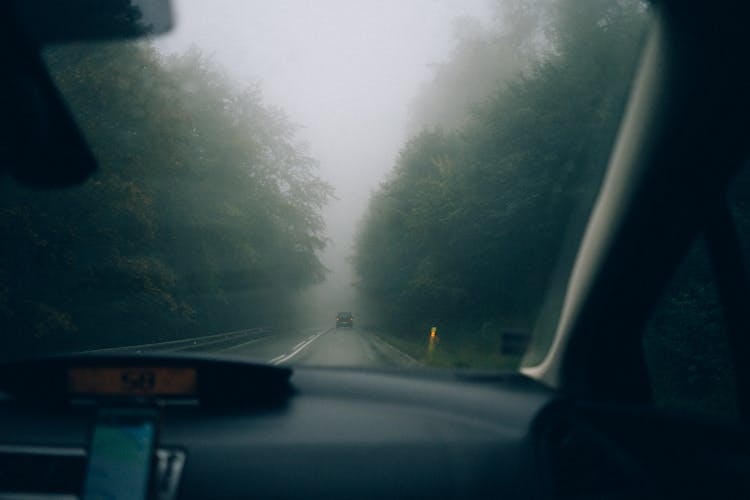 Foggy Road