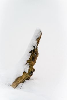 A snow-covered tree stump stands out in a tranquil winter landscape, evoking serenity.