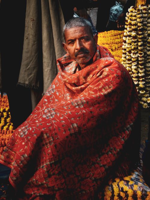 Free Elderly man wrapped in a red shawl at a lively flower market, surrounded by colorful marigolds. Stock Photo