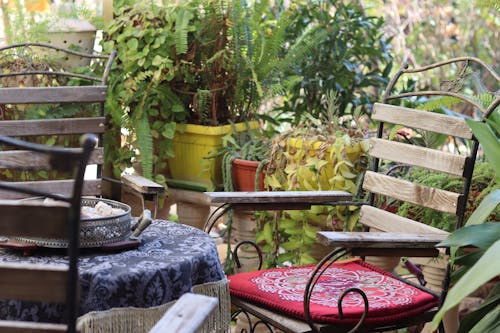 Free Relaxing garden patio in Jerash, Jordan with rustic chairs and lush plants.جرش بين الآثار والتلال الخضراء من نقطة مرتفعة