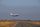 landing