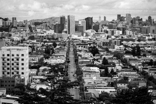 Mission District burrito crawl — San Francisco