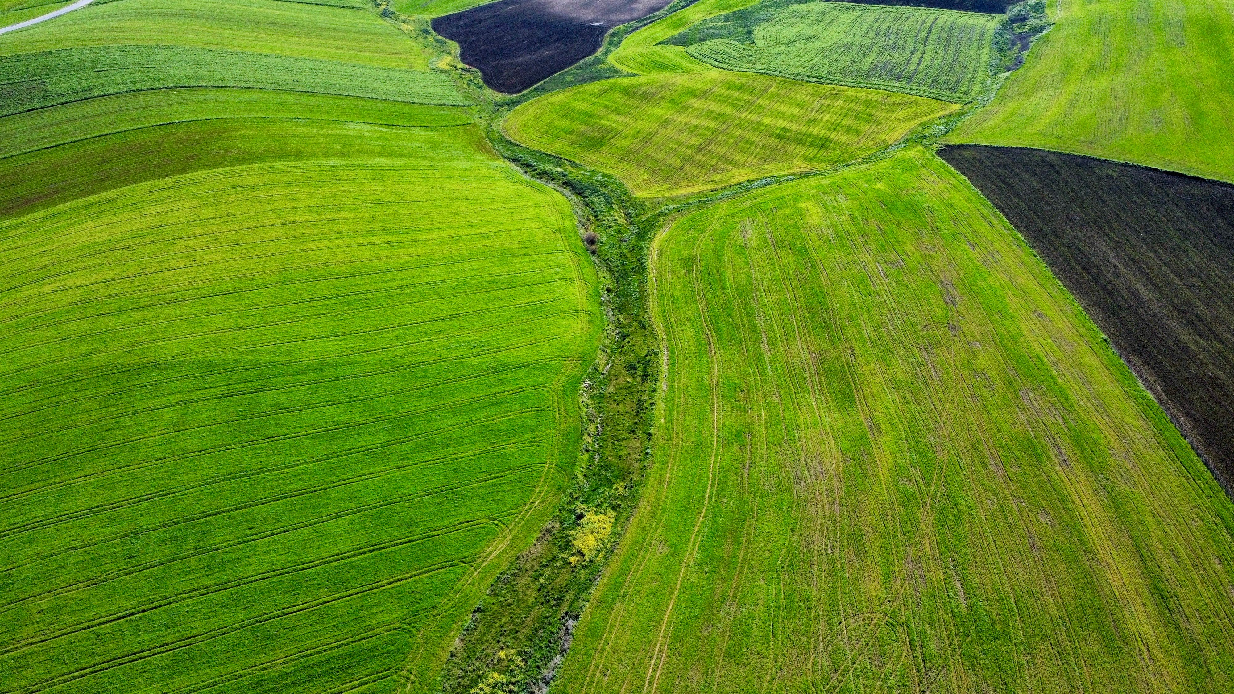 Aerial View of Lush Agricultural Fields in Tunisia · Free Stock Photo