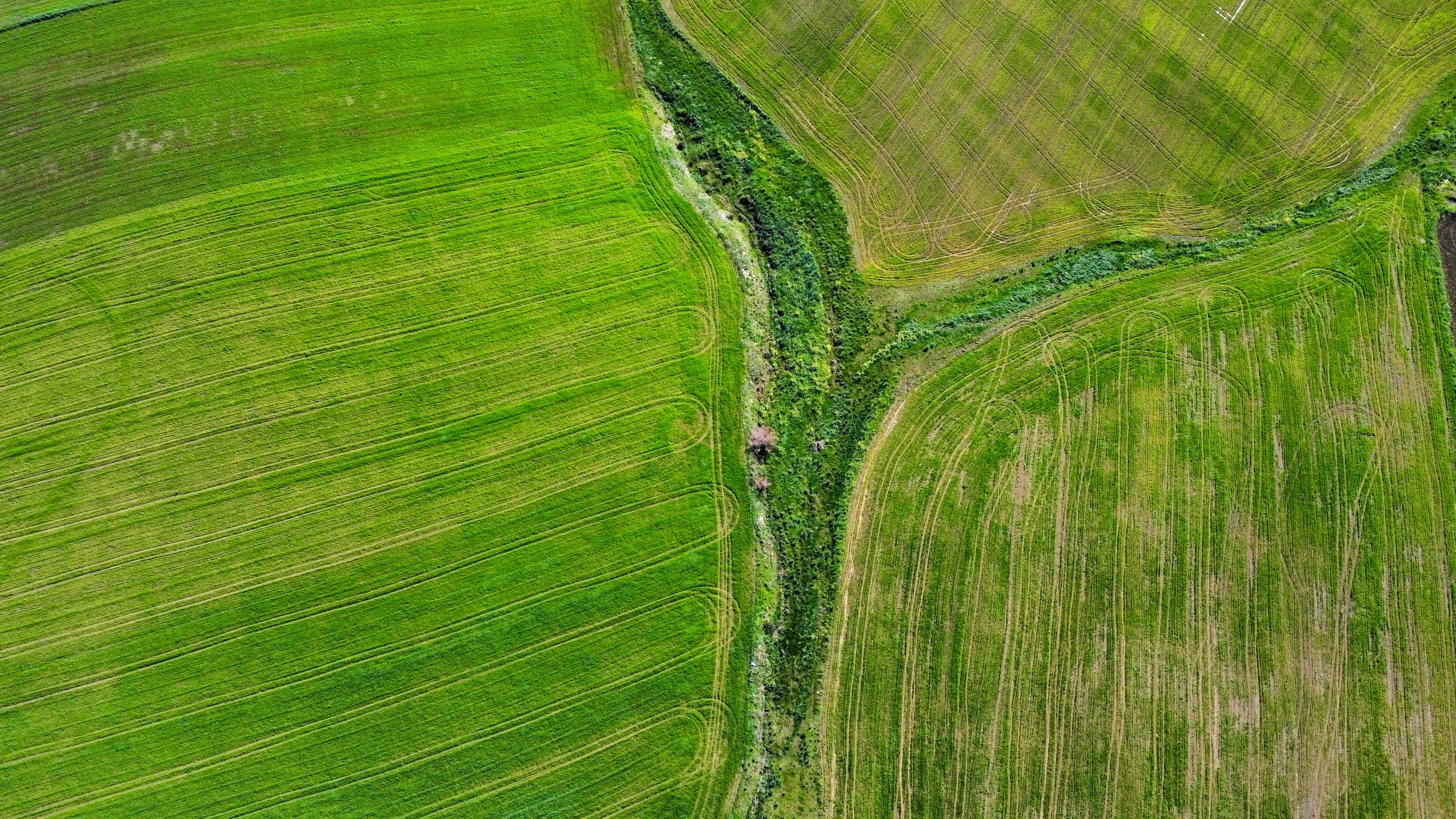 Aerial View of Lush Green Agricultural Fields · Free Stock Photo