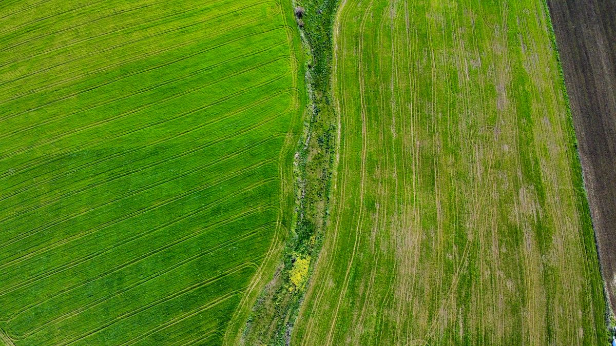 Land survey and property landscape