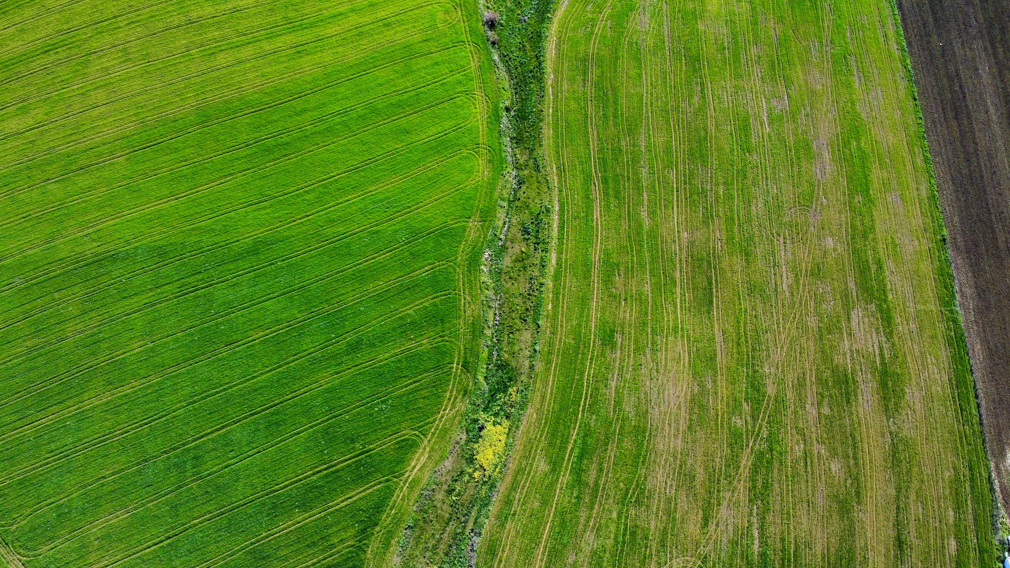 Aerial View of Green Agricultural Fields · Free Stock Photo
