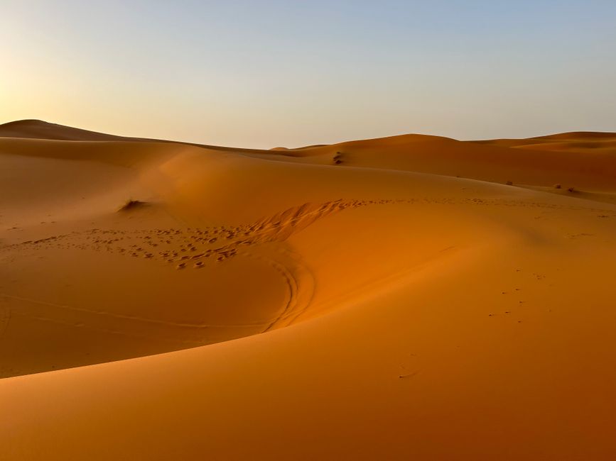 Golden sand dunes of the Sahara Desert under a clear sky in Morocco.