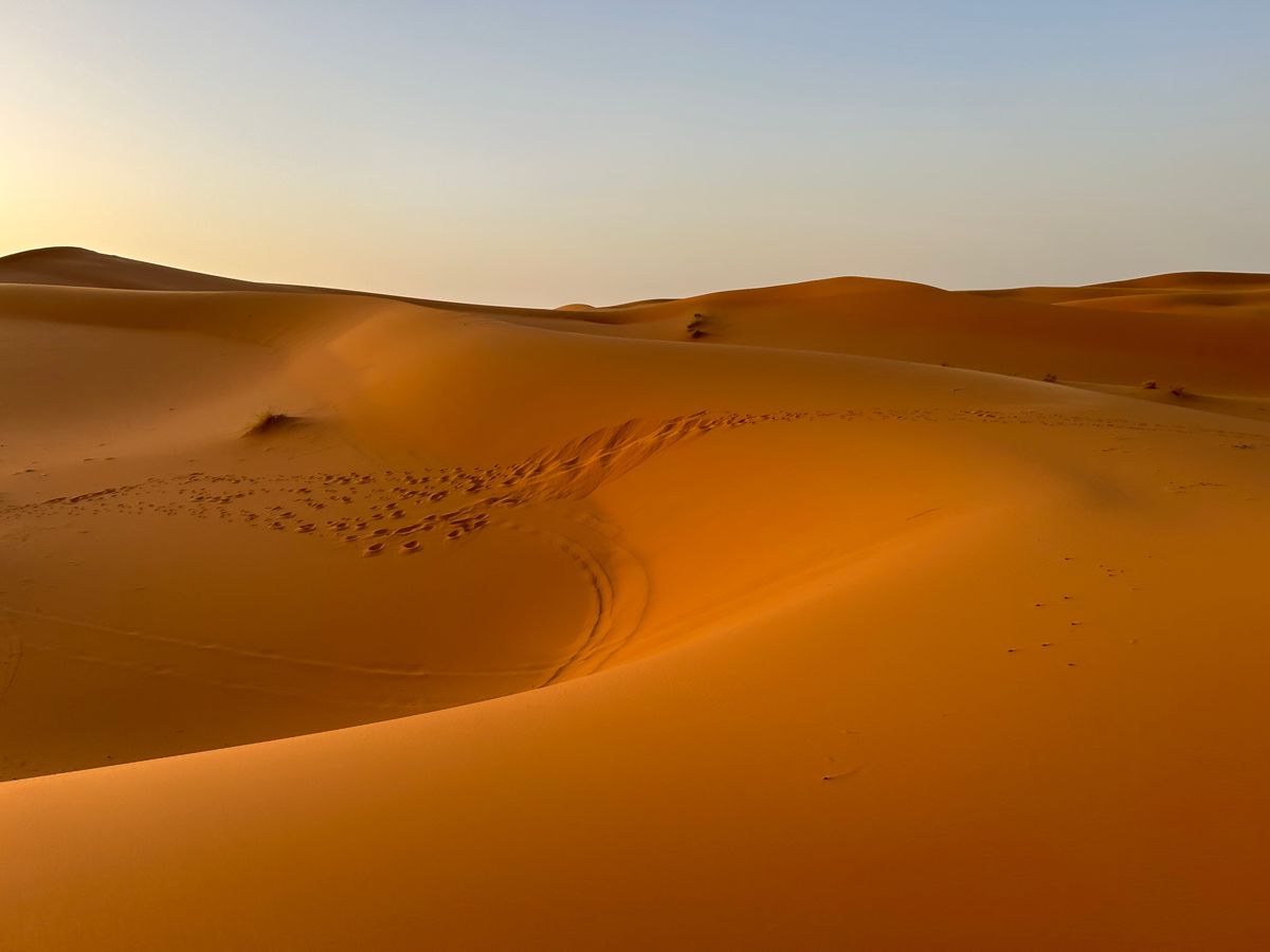 Sahara desert Morocco