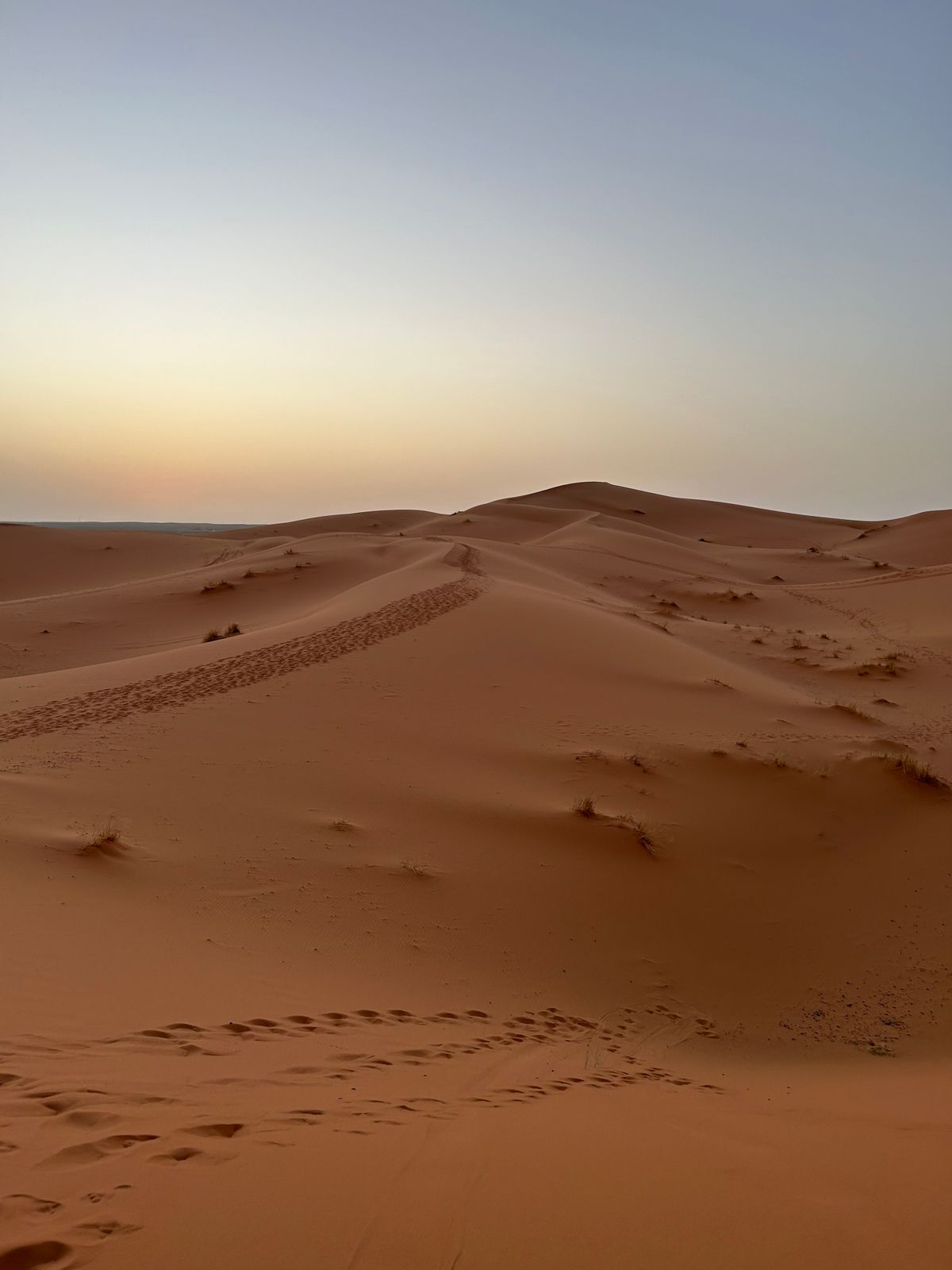 Vast Sahara Desert Dunes in Morocco · Free Stock Photo