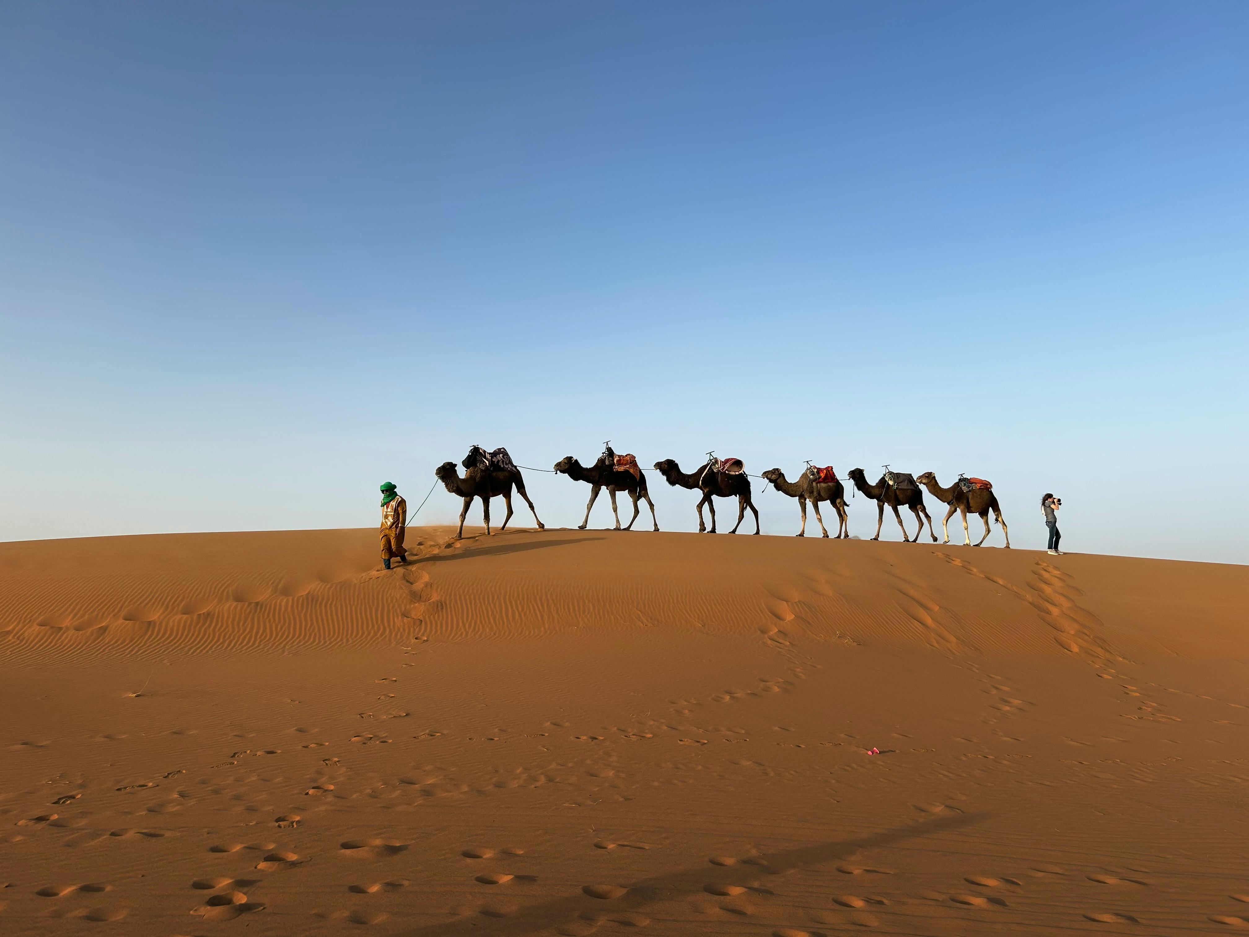 Erg Chigaga camel caravan on remote dunes Morocco Sahara