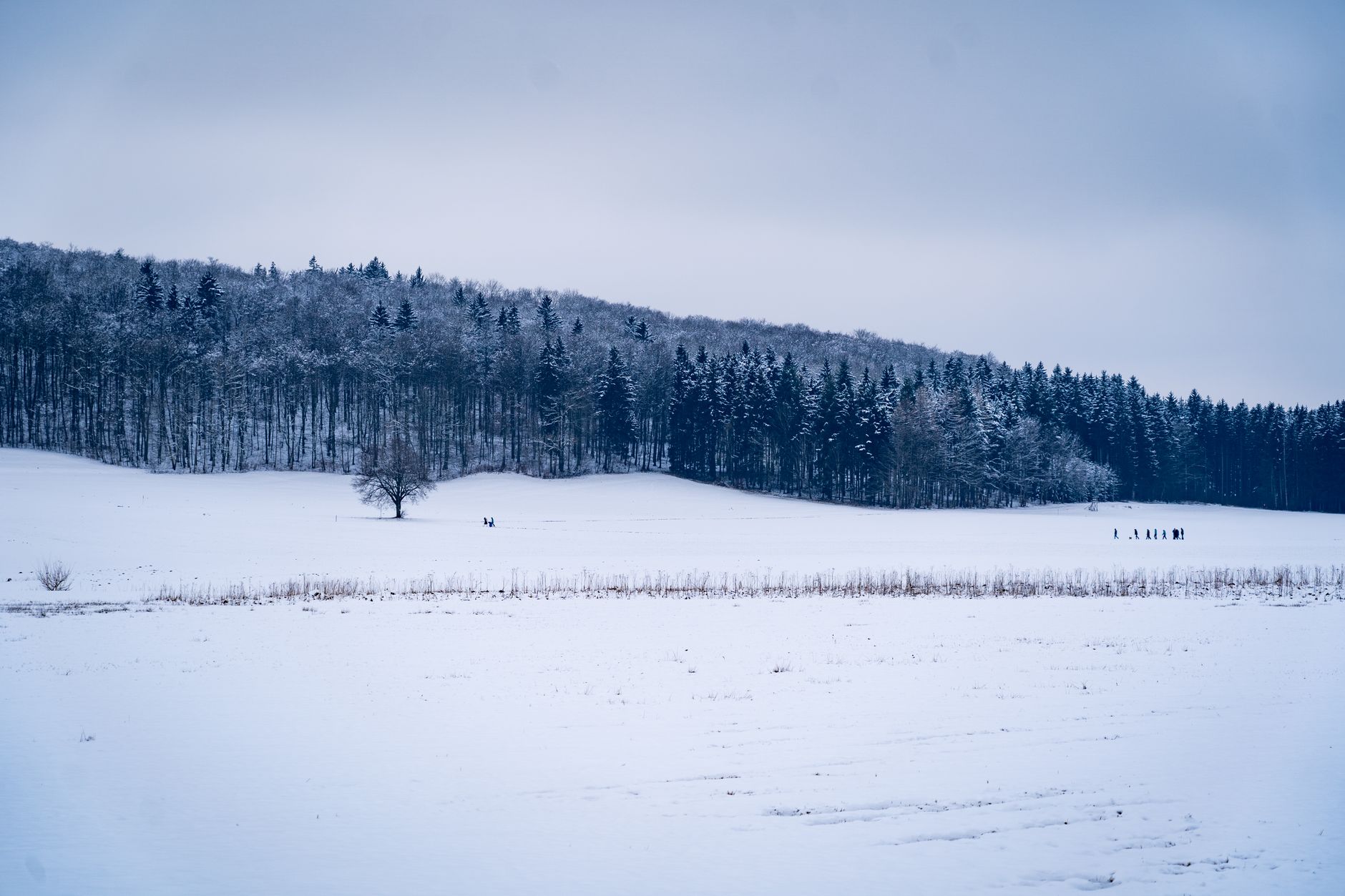 A tranquil snow-covered landscape in Lenningen, Germany featuring a snowy field and distant hikers.