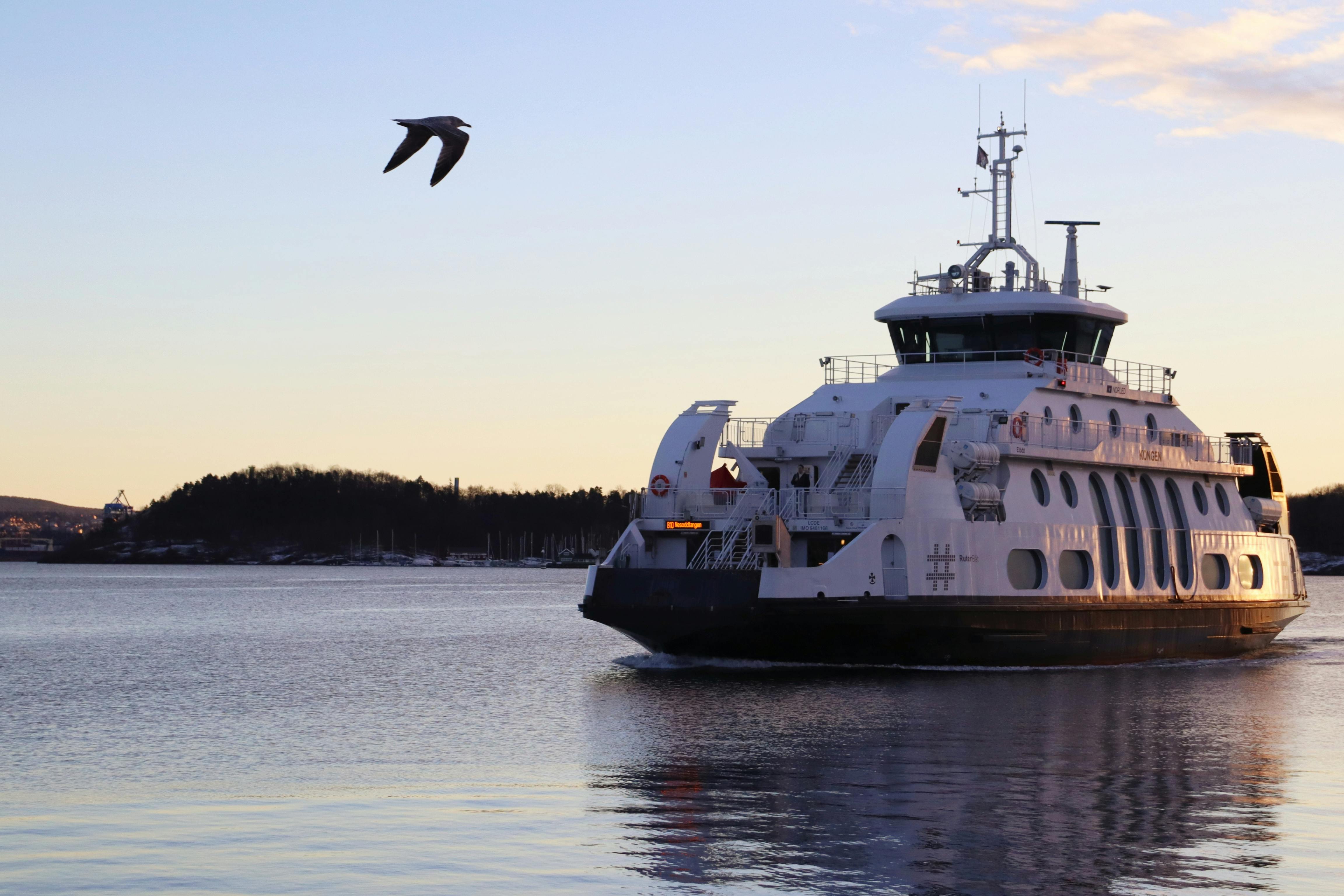 A scenic view of a ferry crossing a tranquil lake with a bird flying above during sunset.