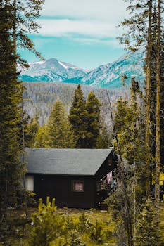 迷人的小屋以山脉为背景，坐落在常青树之间，展现了大自然的美丽