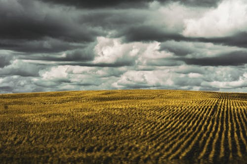 Free stock photo of 4k wallpaper, blue sky, clouds