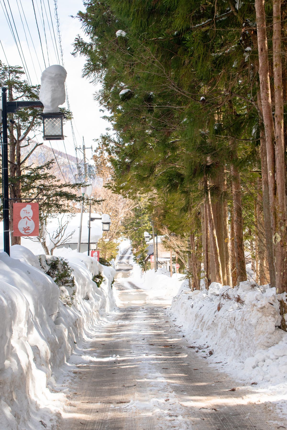 Serene winter scene of a snow-covered pathway lined with tall trees in Nagano