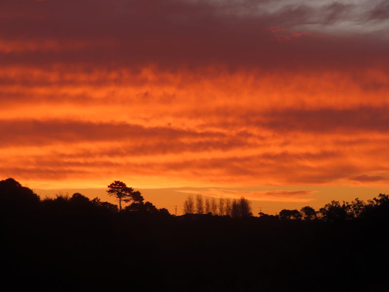 Averi vs NewsCred: Content Engine vs Enterprise Content