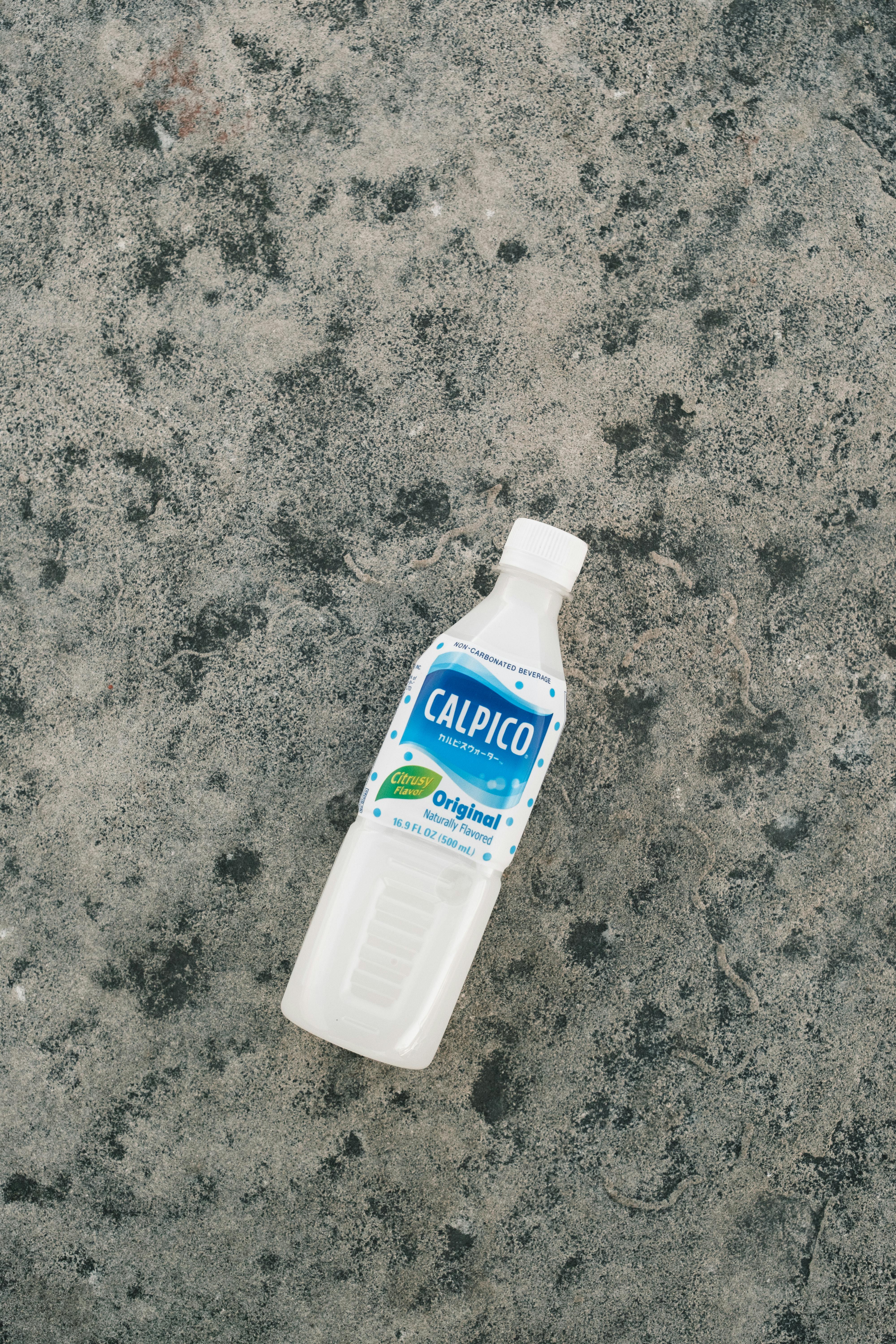 2026年3月热门益生菌品牌产品实拍图