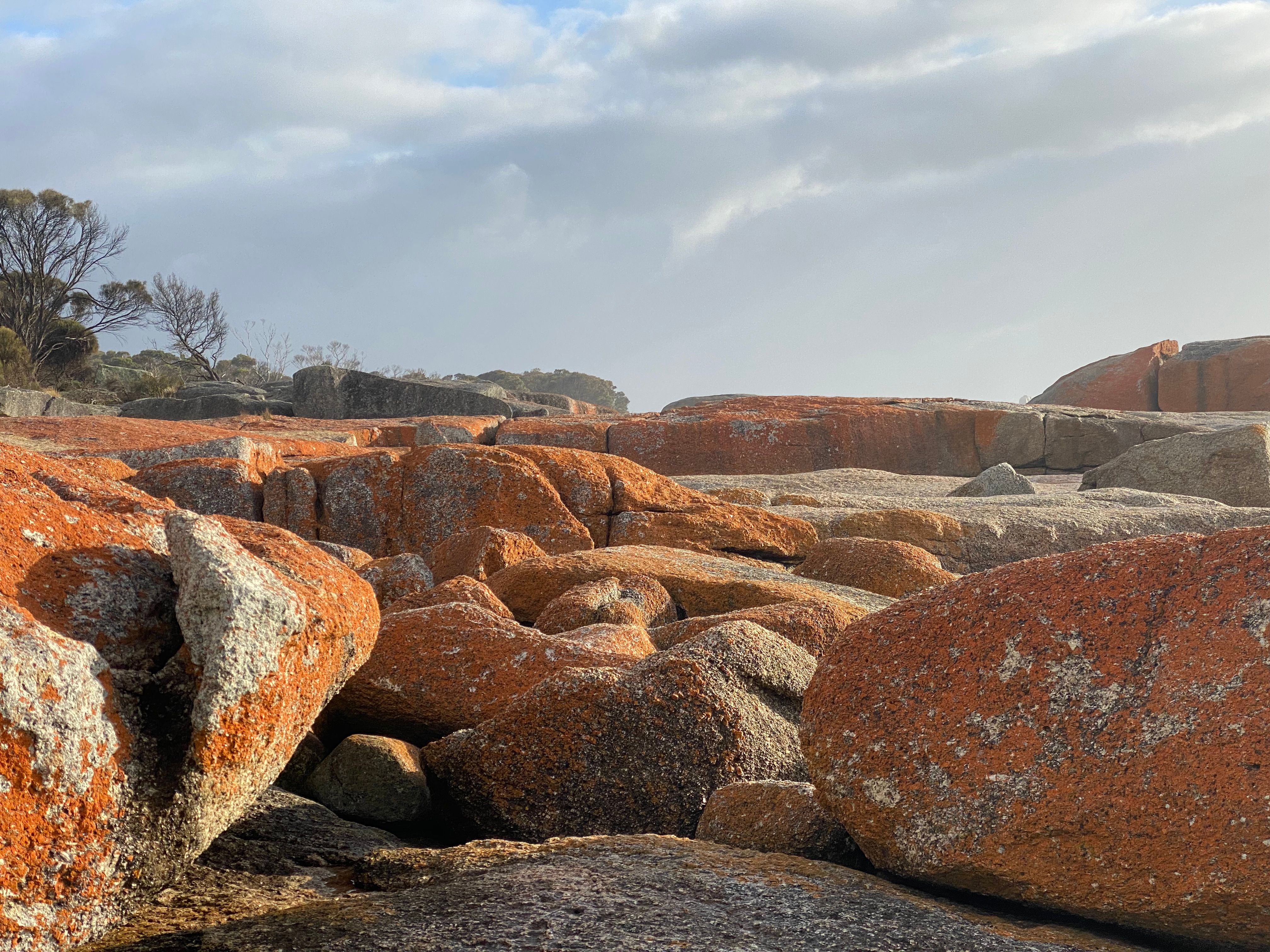 Explore the unique orange-hued rock formations at Bicheno, Tasmania, showcasing natural beauty and geological wonder.