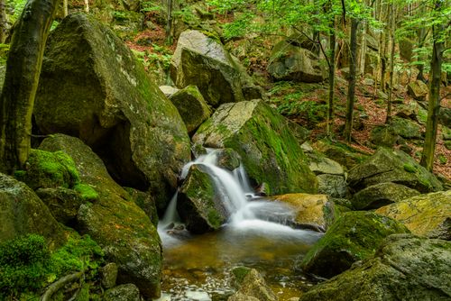 Free Serene forest waterfall cascading over mossy boulders, surrounded by lush greenery. Stock Photo