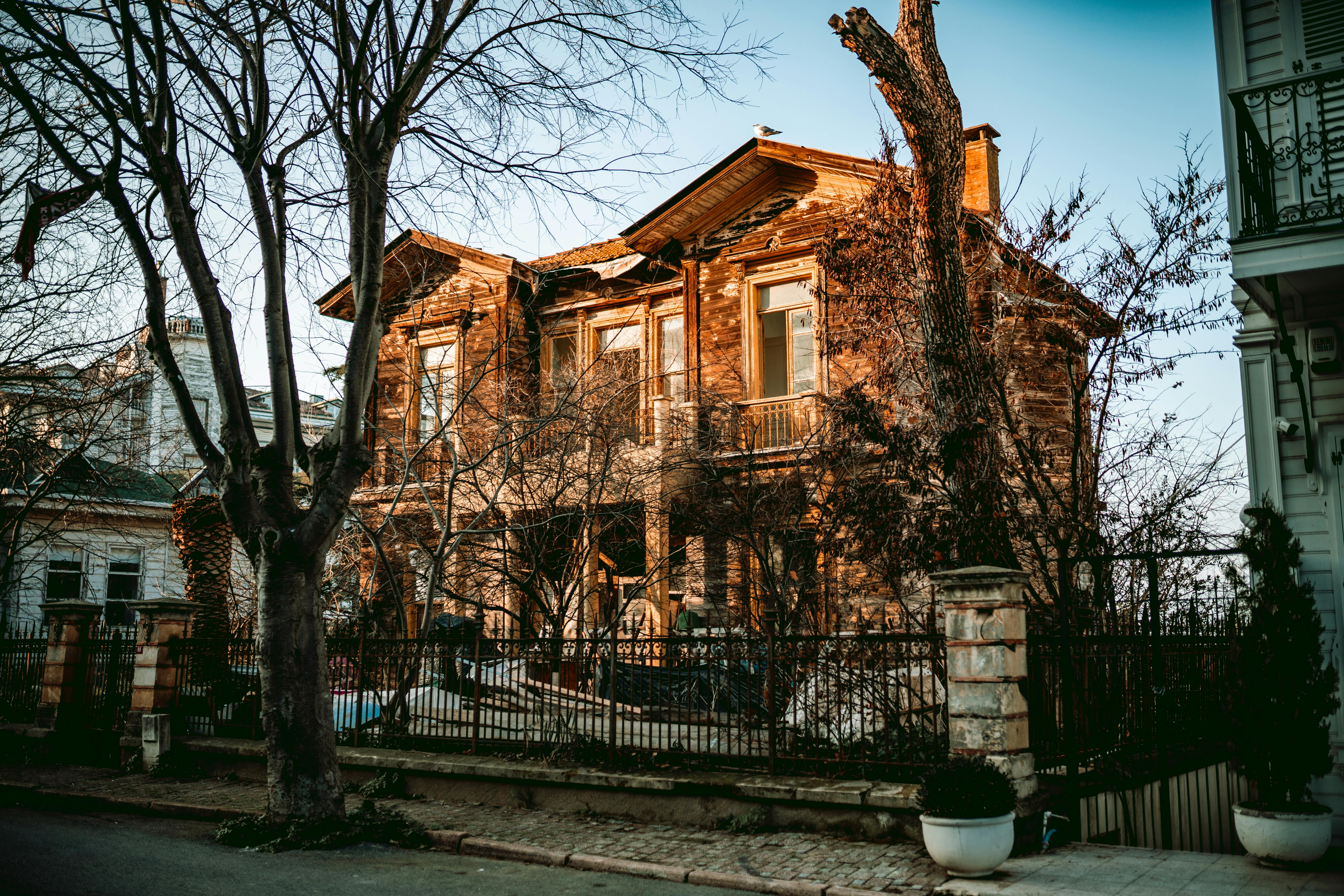 Revitalizing Native Languages: Preserving Culture and Identity