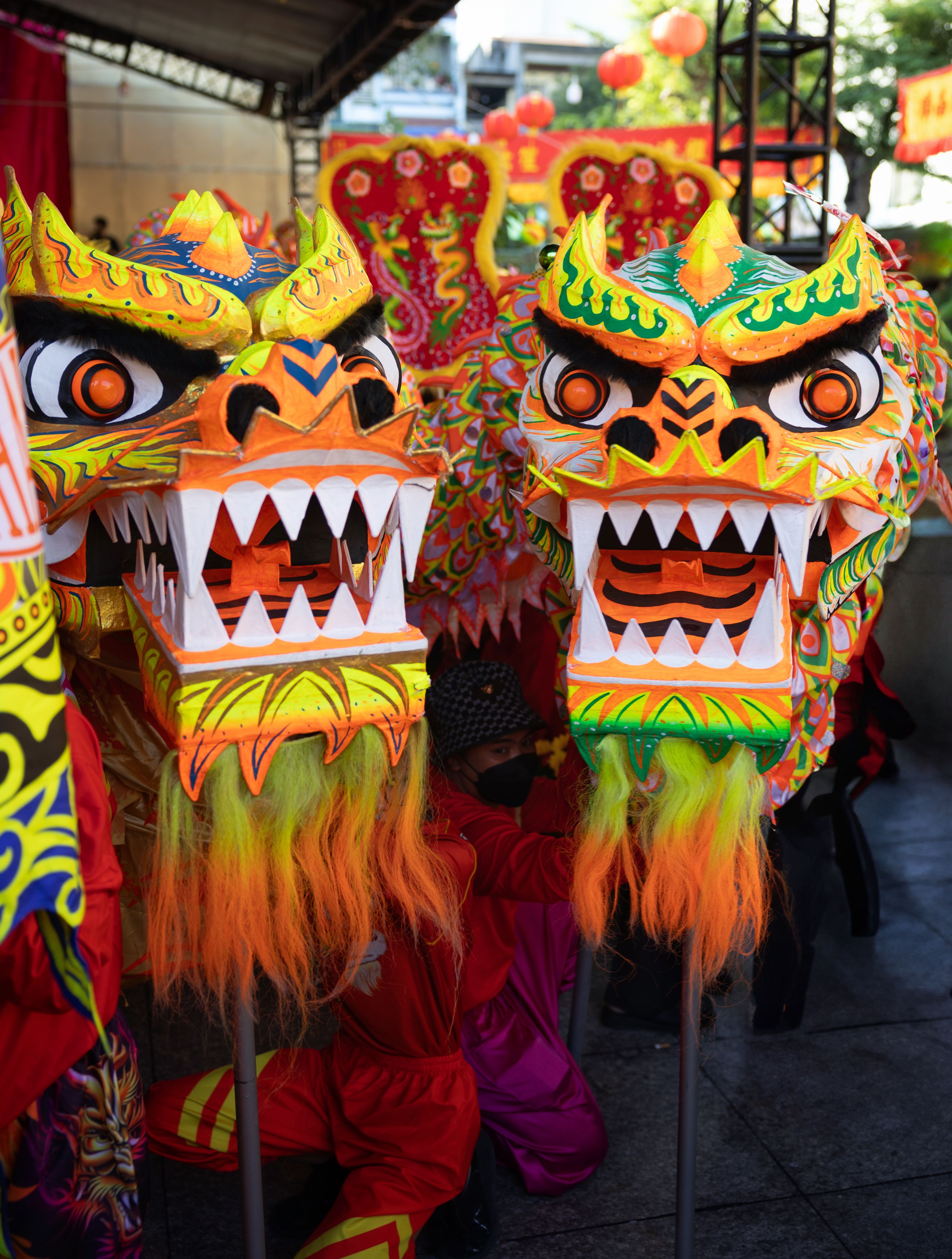 Vibrant Dragon Dance Festival Performance · Free Stock Photo
