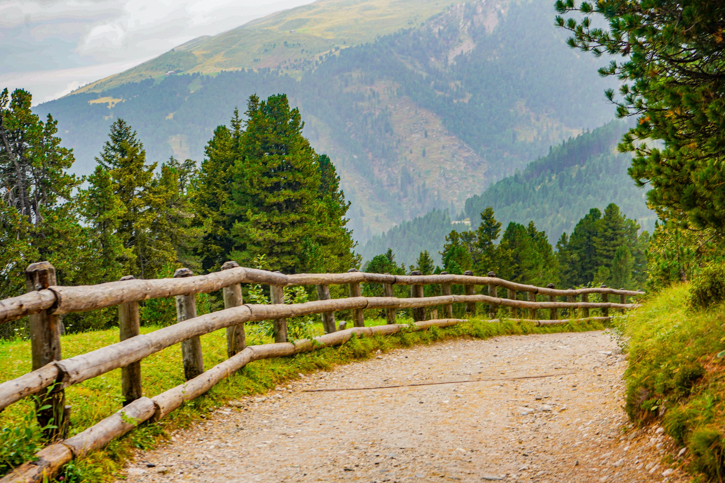 5 Micro-Niche Travel Trends Dominating Outdoor Adventures Right Now — Photo by Ana Zdrilić on Pexels