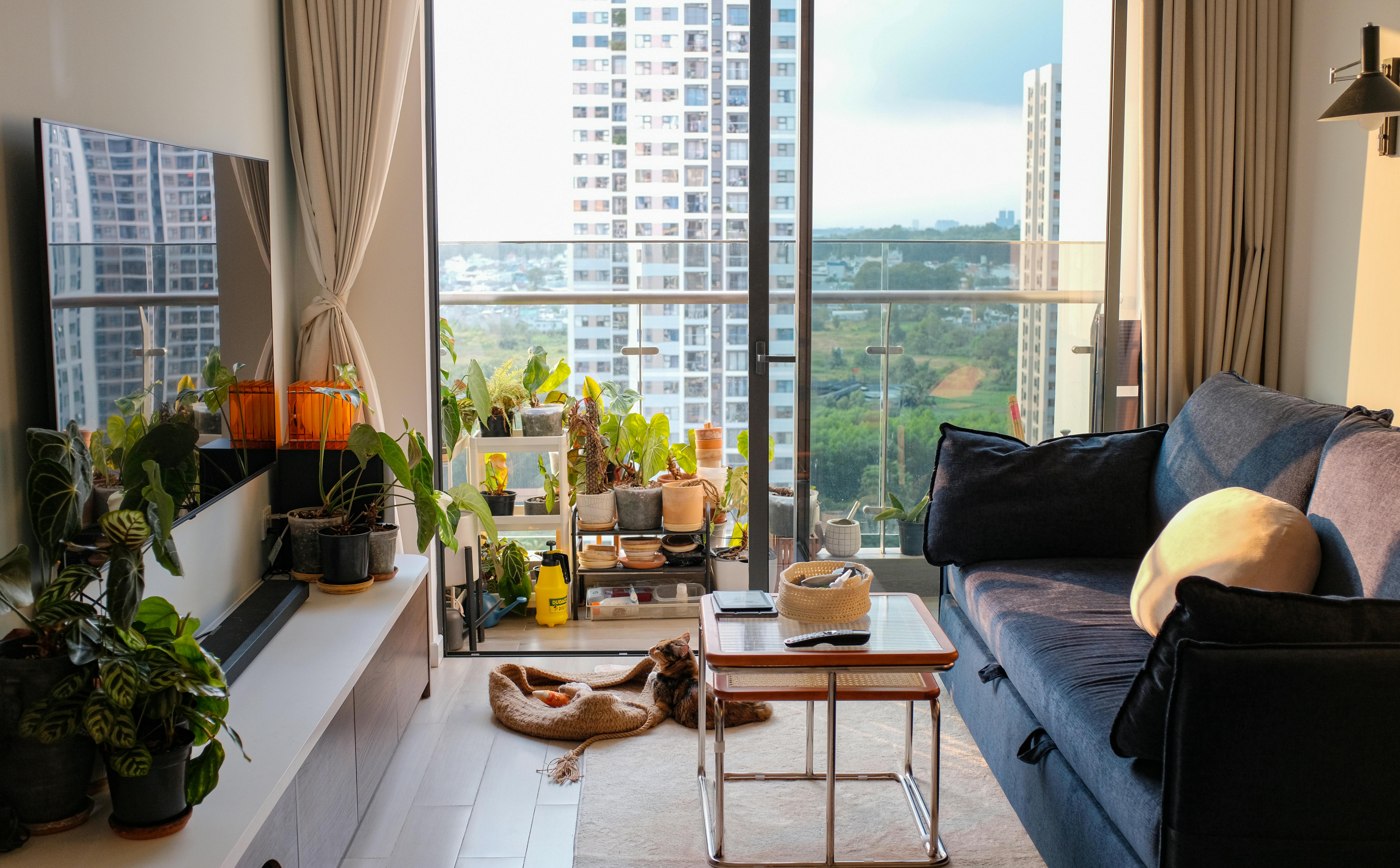 Indoor plants on a compact, foldable plant stand in a shared room