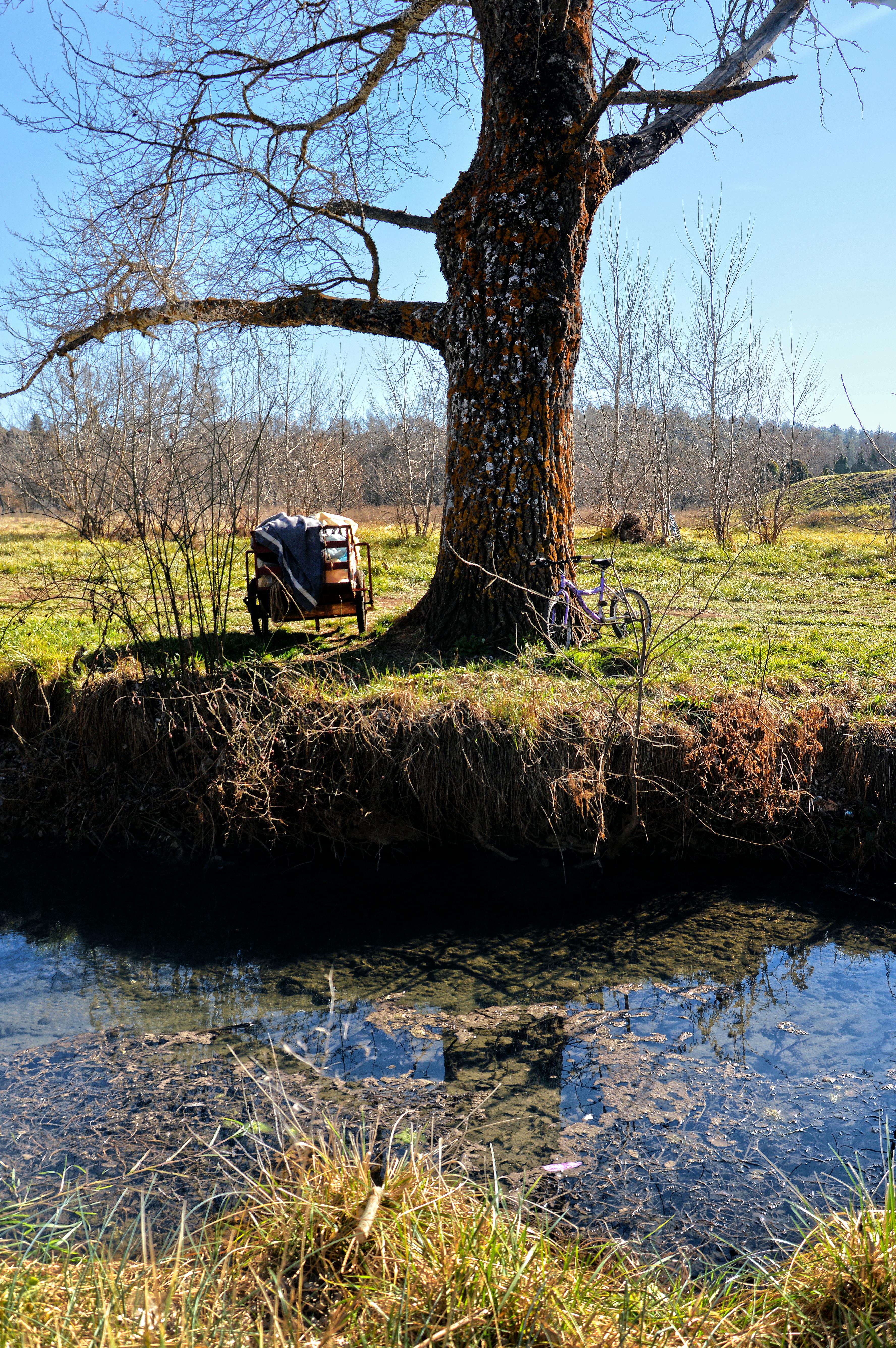 Гармоничная речная сцена с велосипедом и стулом
