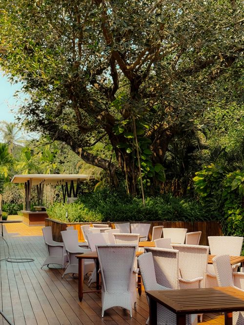 Free Serene outdoor cafe surrounded by lush greenery in GA, India, perfect for relaxation. Stock Photo