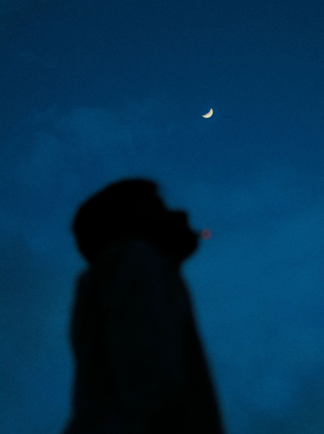 Silhouette of a Man Under Night Sky with Crescent Moon · Free Stock Photo