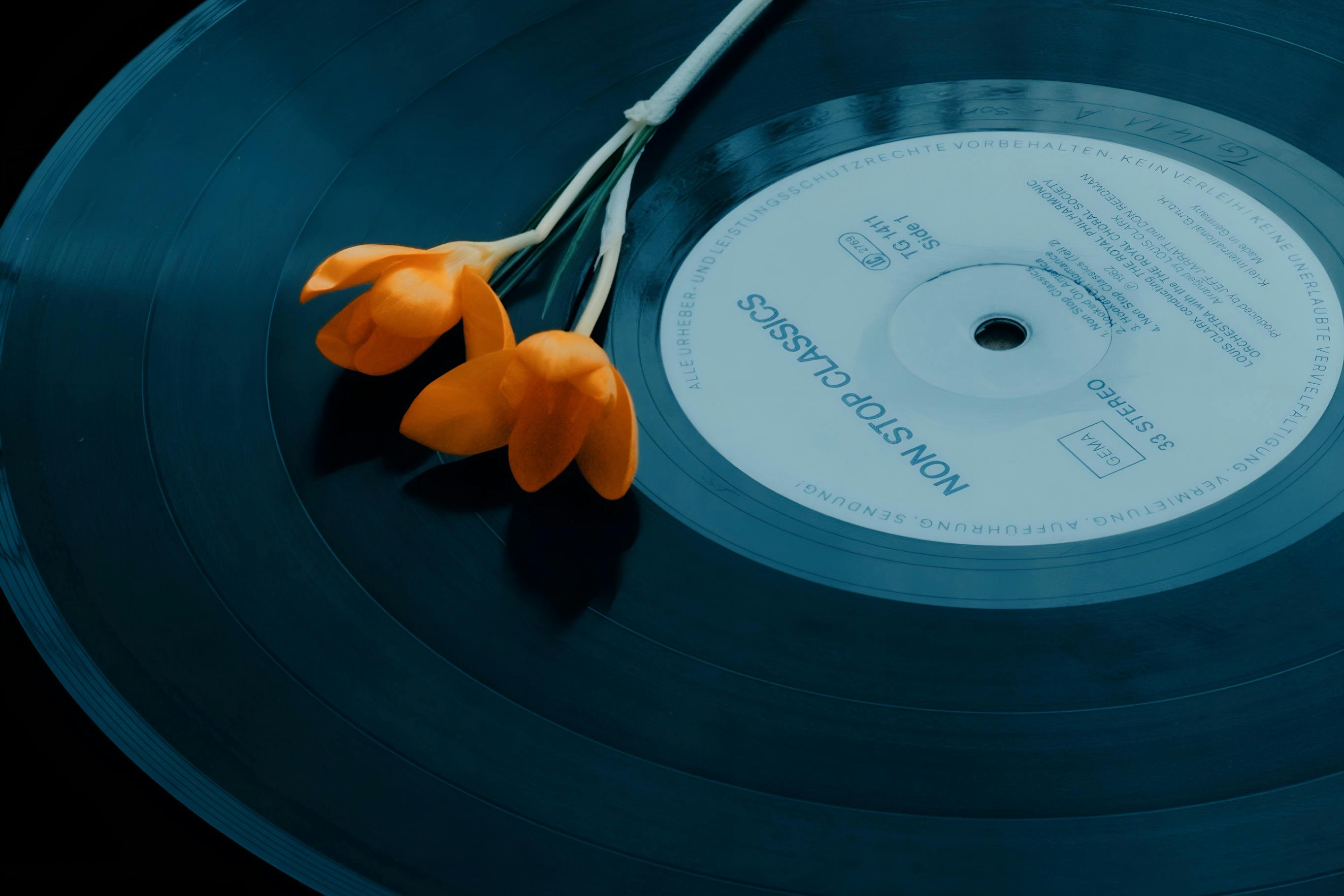 The Vinyl Renaissance: Navigating Music's Digital Landscape with a Touch of Nostalgia
