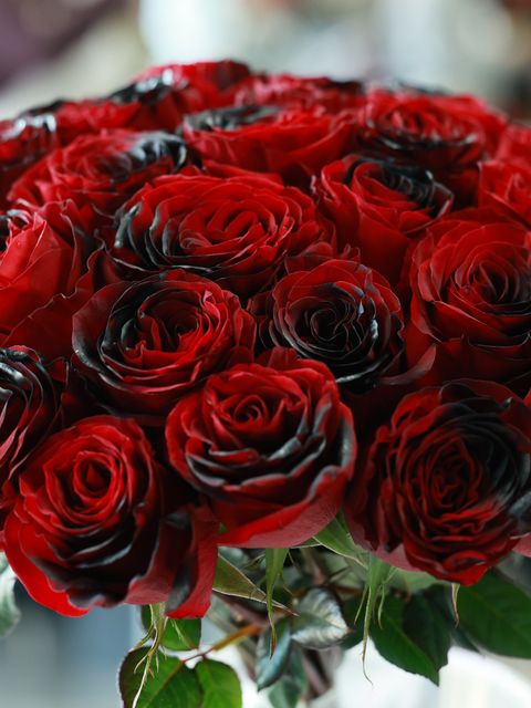 Wedding invitation velvet-roses