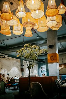 Charming Hyderabad cafe featuring ambient lighting, indoor plants, and a cozy atmosphere.