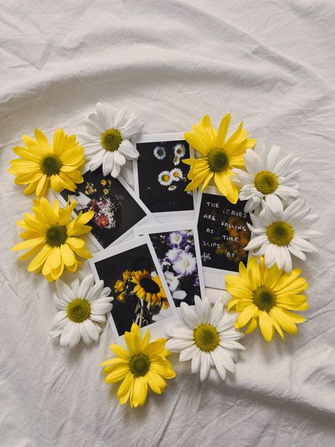 Chic arrangement of yellow and white daisies with Polaroid photo cards on soft fabric.