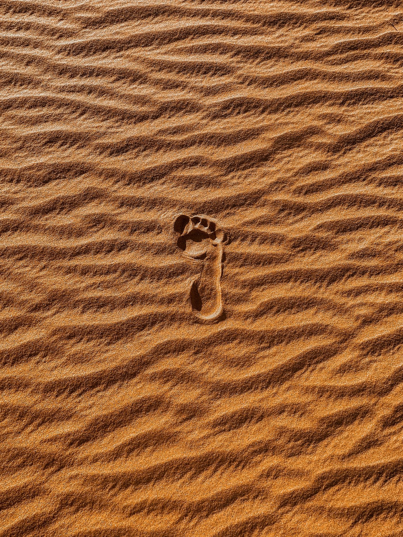 Choose the Sahara If… — Morocco travel guide