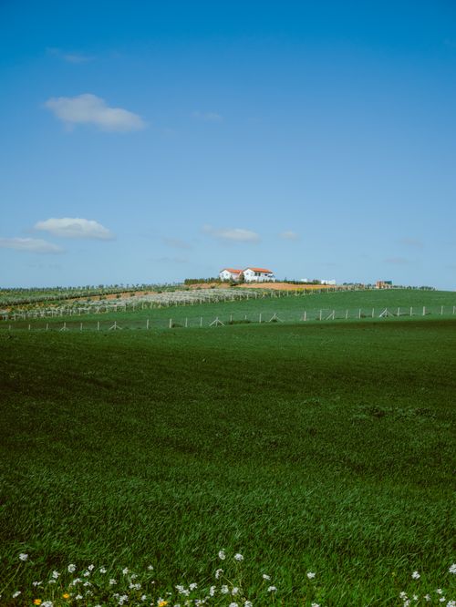 Free Expansive green field under a clear blue sky with a distant farm in Sidi Thabet, Tunisia. Stock Photo