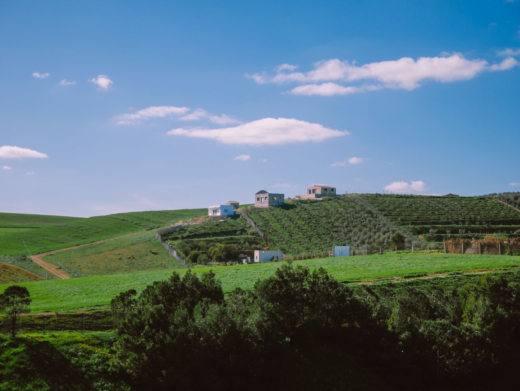 Scenic view of rolling green hills under a bright blue sky in Sidi Thabet, Tunisia.