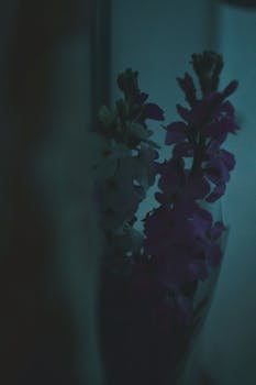 A serene and moody bouquet in dim lighting with a vintage feel, creating a tranquil atmosphere.