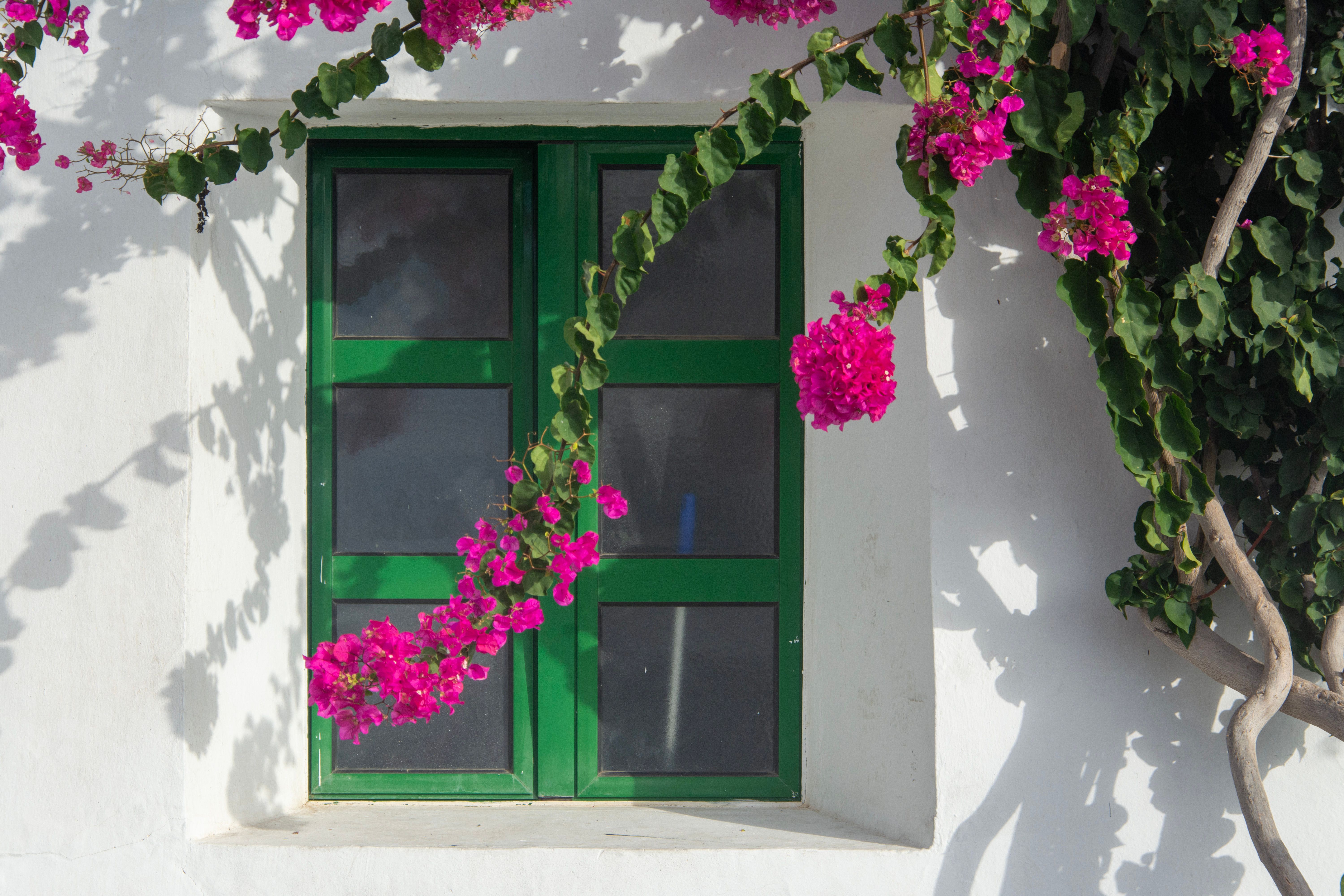 Exterior Painting in St James's — a freshly painted, spotless finish