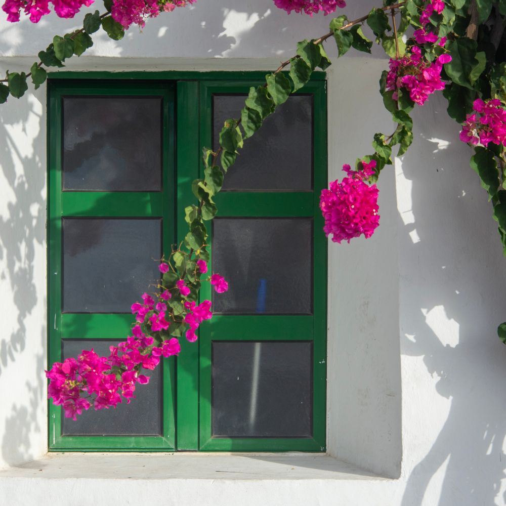Exterior Painting in St James's — a freshly painted, spotless finish
