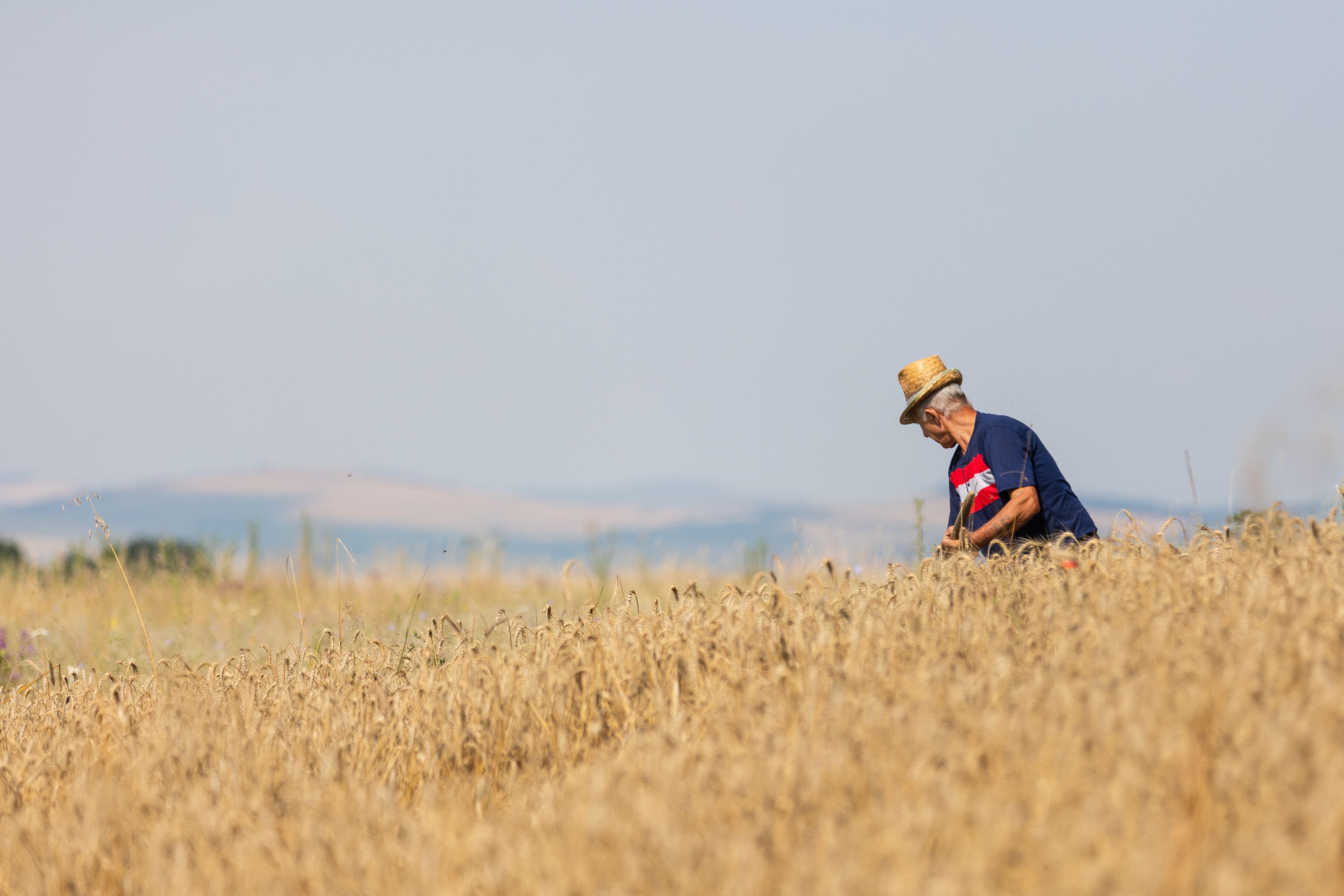 Agricultorii se plâng de prețurile scăzute în ciuda producției bune