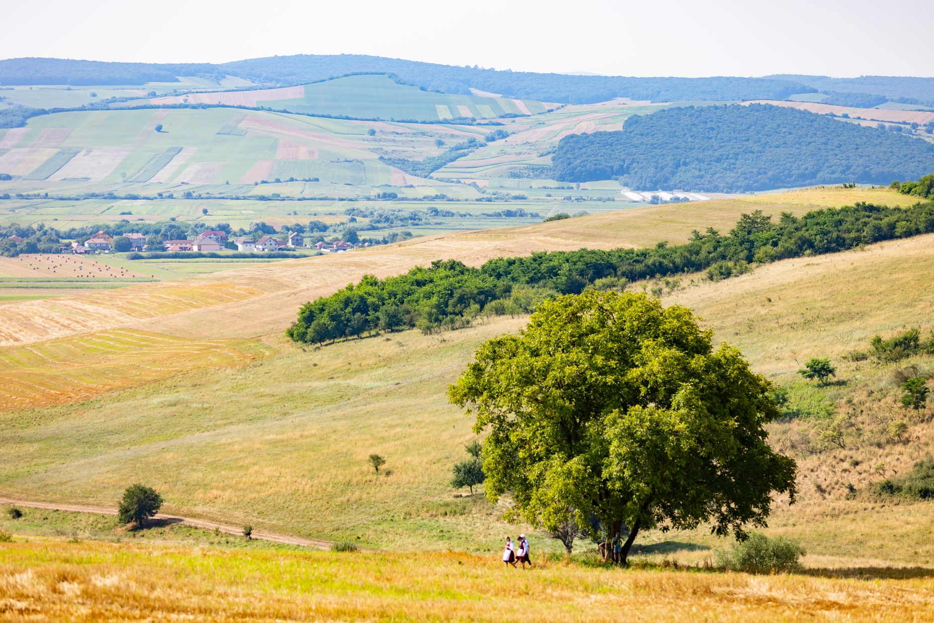 Val de nașteri la Maternitatea din Târgu Mureș în prima zi din 2026